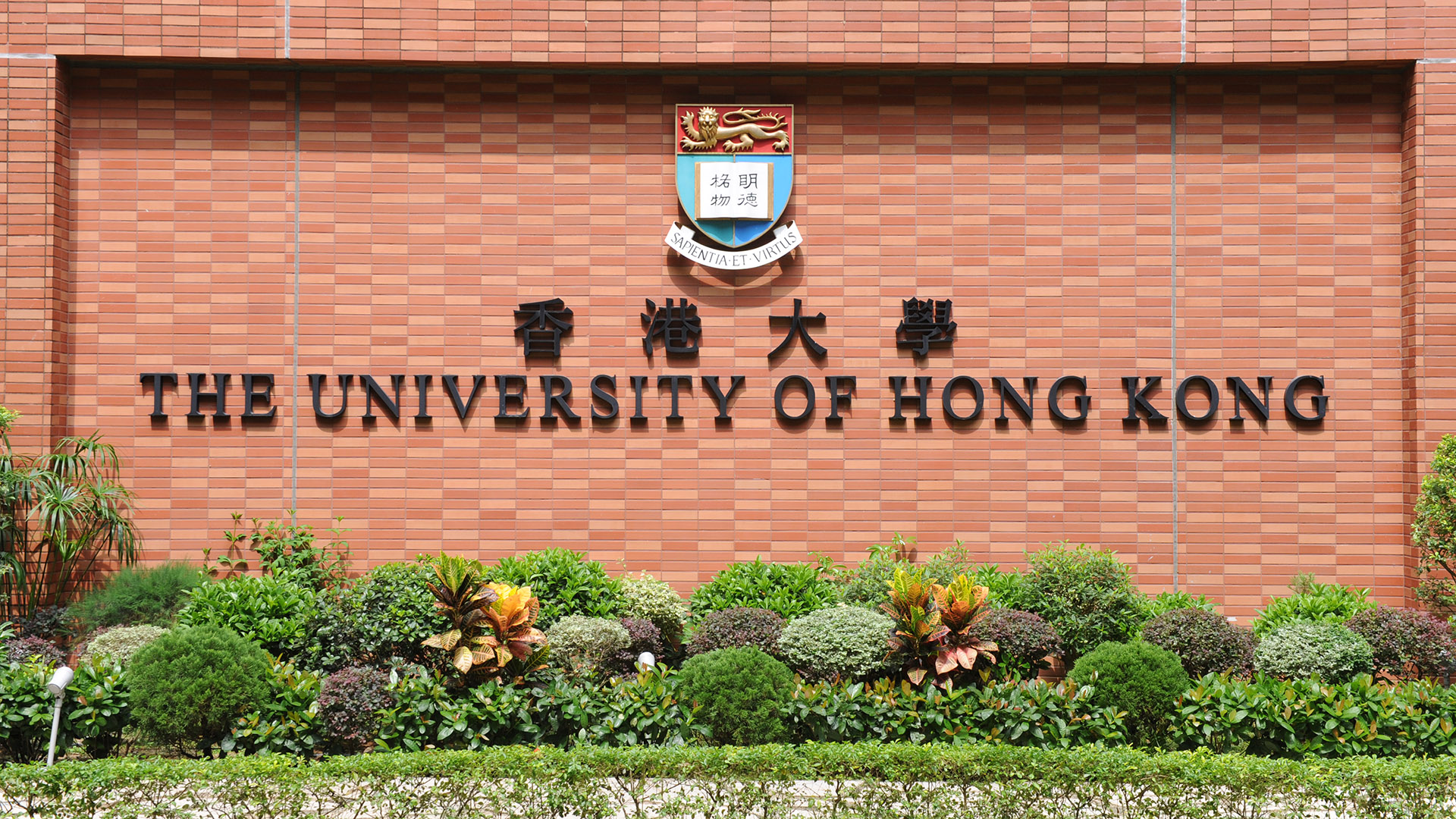 NEW PROJECT WITH HONG KONG UNIVERSITY STUDENTS